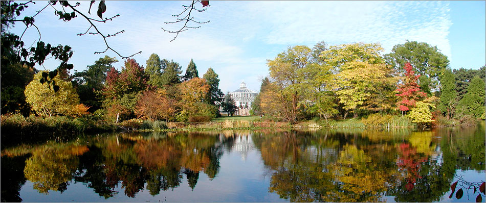 Panorama af Botanisk Have i efterårsfarver